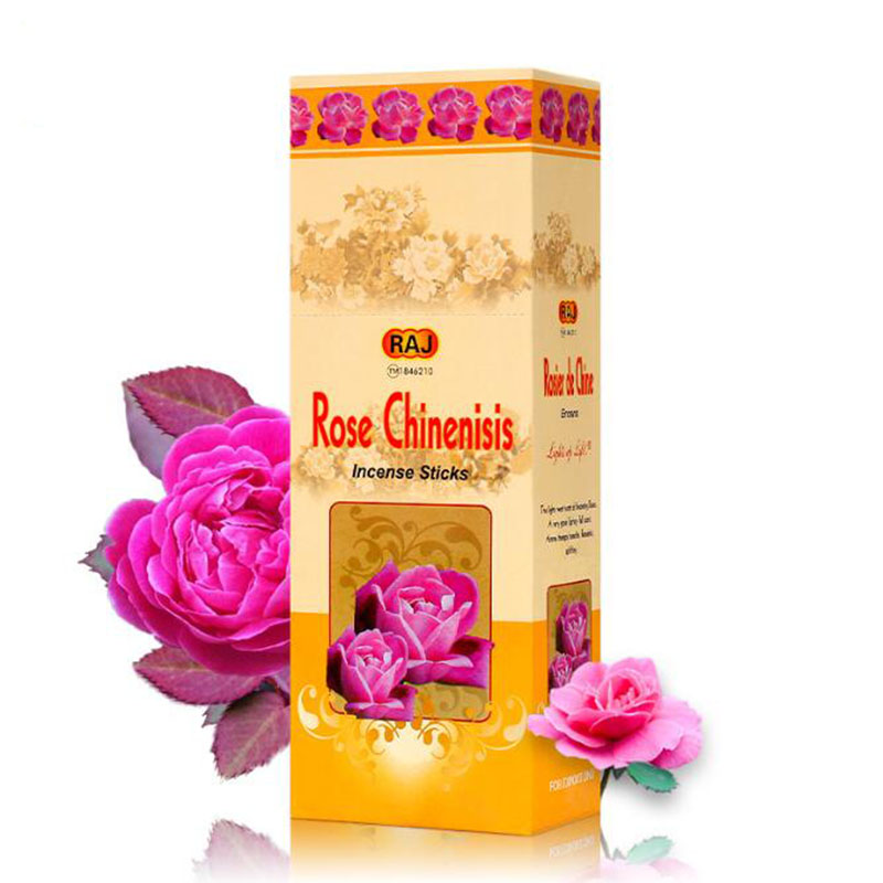 India Imported Rose Chinensis  - Candle Supplies India ulasan dan harga