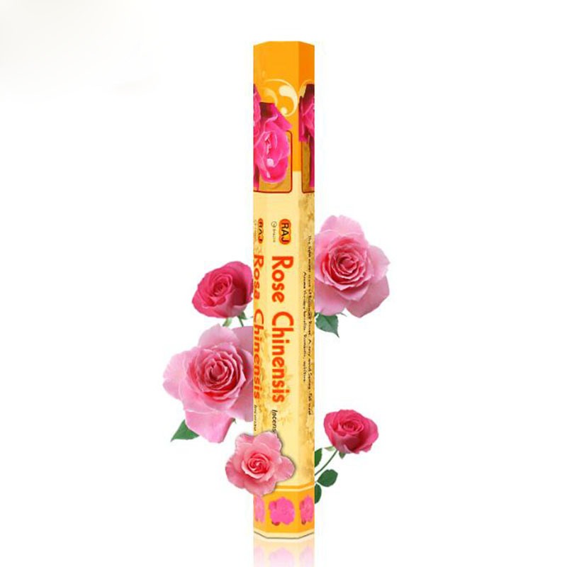 India Imported Rose Chinensis  - Candle Supplies India ulasan dan harga