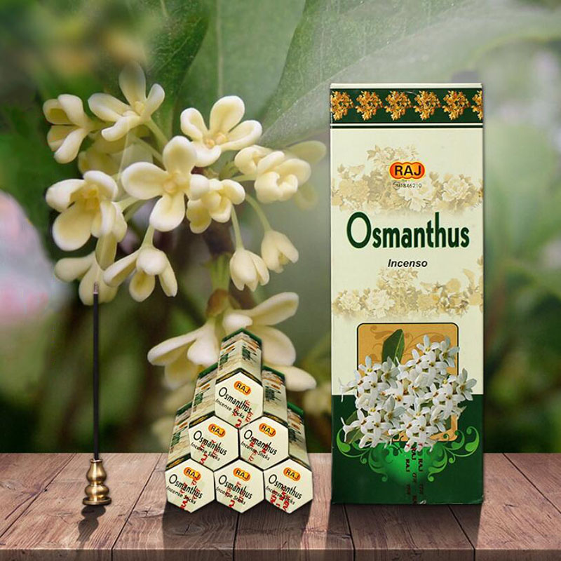 India Imported Incense Osmanth - Candle Supplies India ulasan dan harga