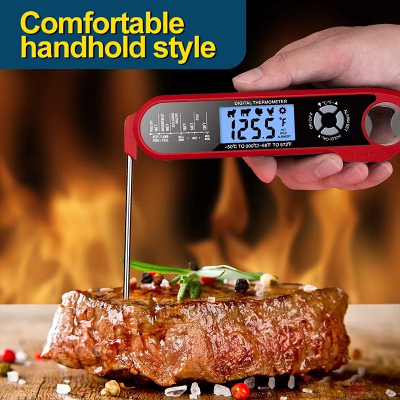 Meat Thermometer Dual-Probe Di - Digital Thermometer Probe ulasan dan harga